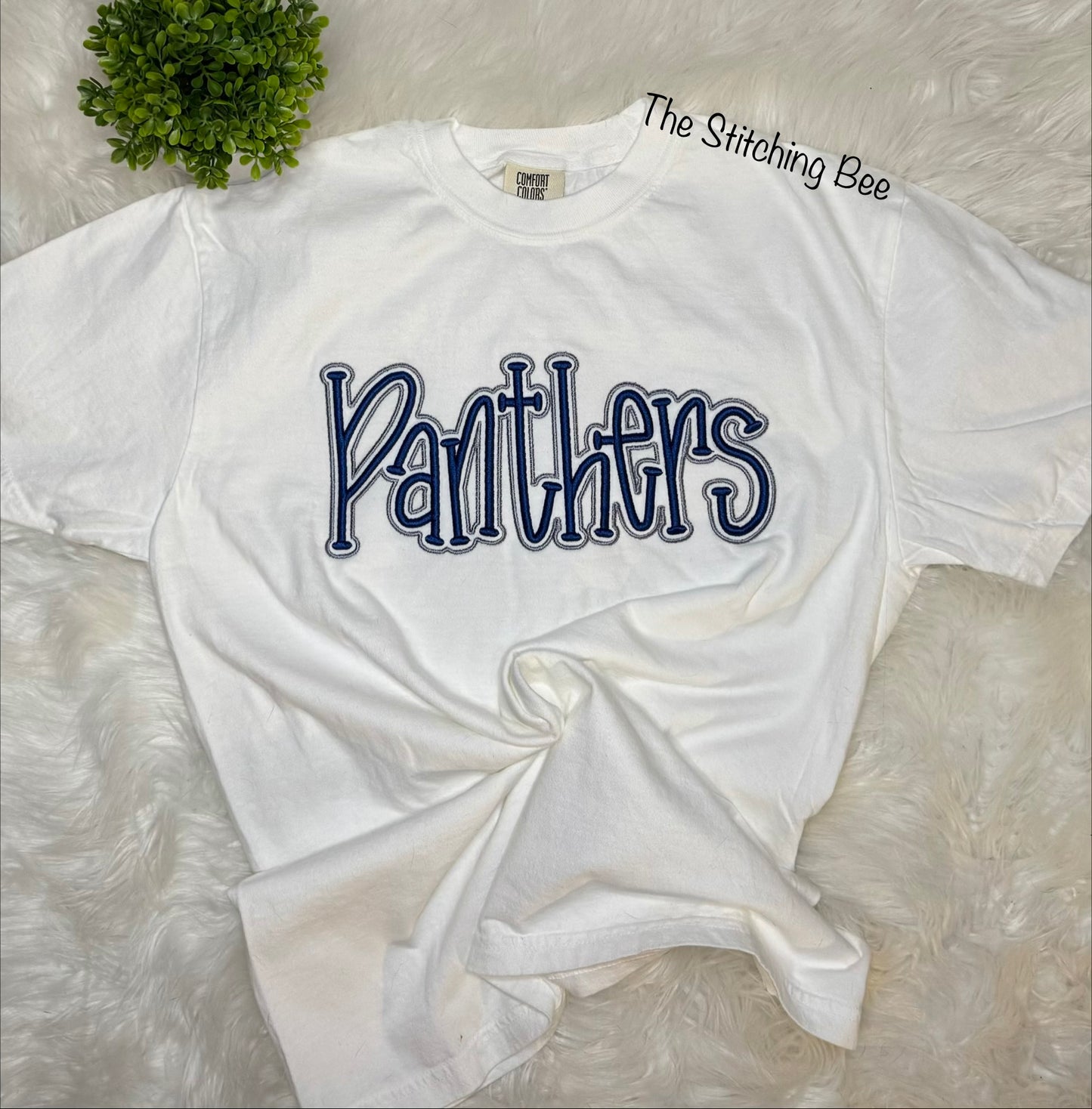 Panthers retro script puff with outline