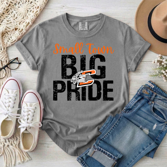 Chilhowie Small Town Big Pride tshirt